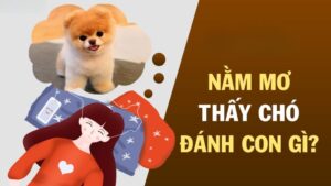 Luận Giải Mơ Thấy Chó Là Điềm Gì? Du88 Gợi Ý Con Số May Mắn