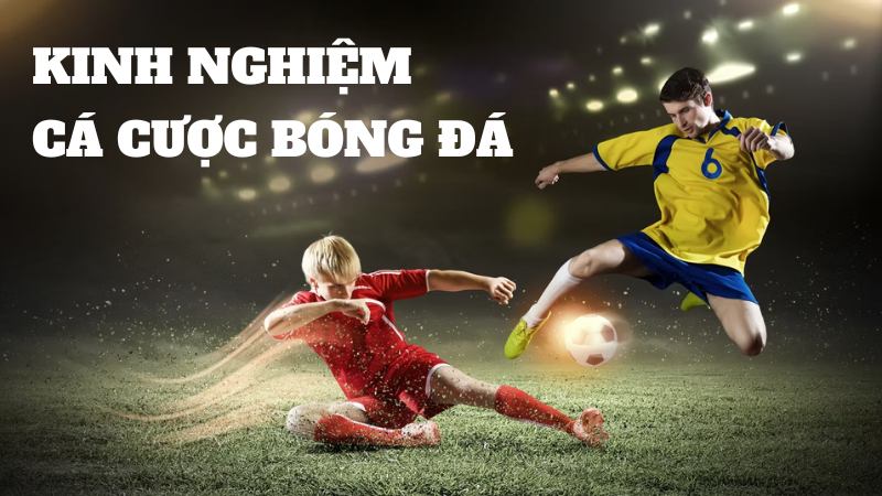 Toàn Bộ Kinh Nghiệm Cá Cược Bóng Đá Không Thua Từ Du88